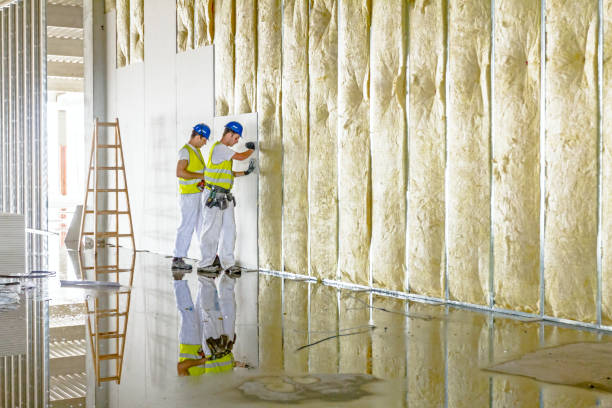 Best Specialized Insulation Services in Granite Quarry, NC